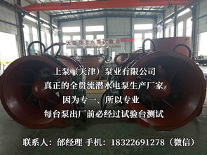 探索流體世界的隱秘力量 潛水貫流泵、全貫流閘門(mén)泵、燈泡泵與臥式全貫流泵技術(shù)解析